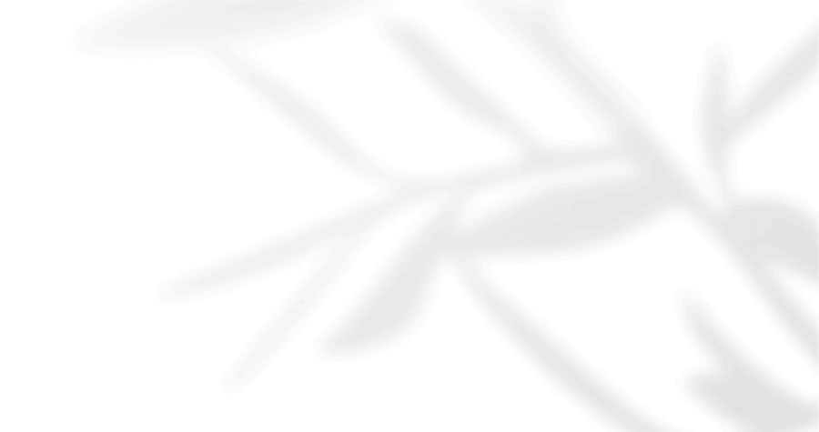 https://mojofilms.ca/wp-content/uploads/2020/12/floating_image_05.png