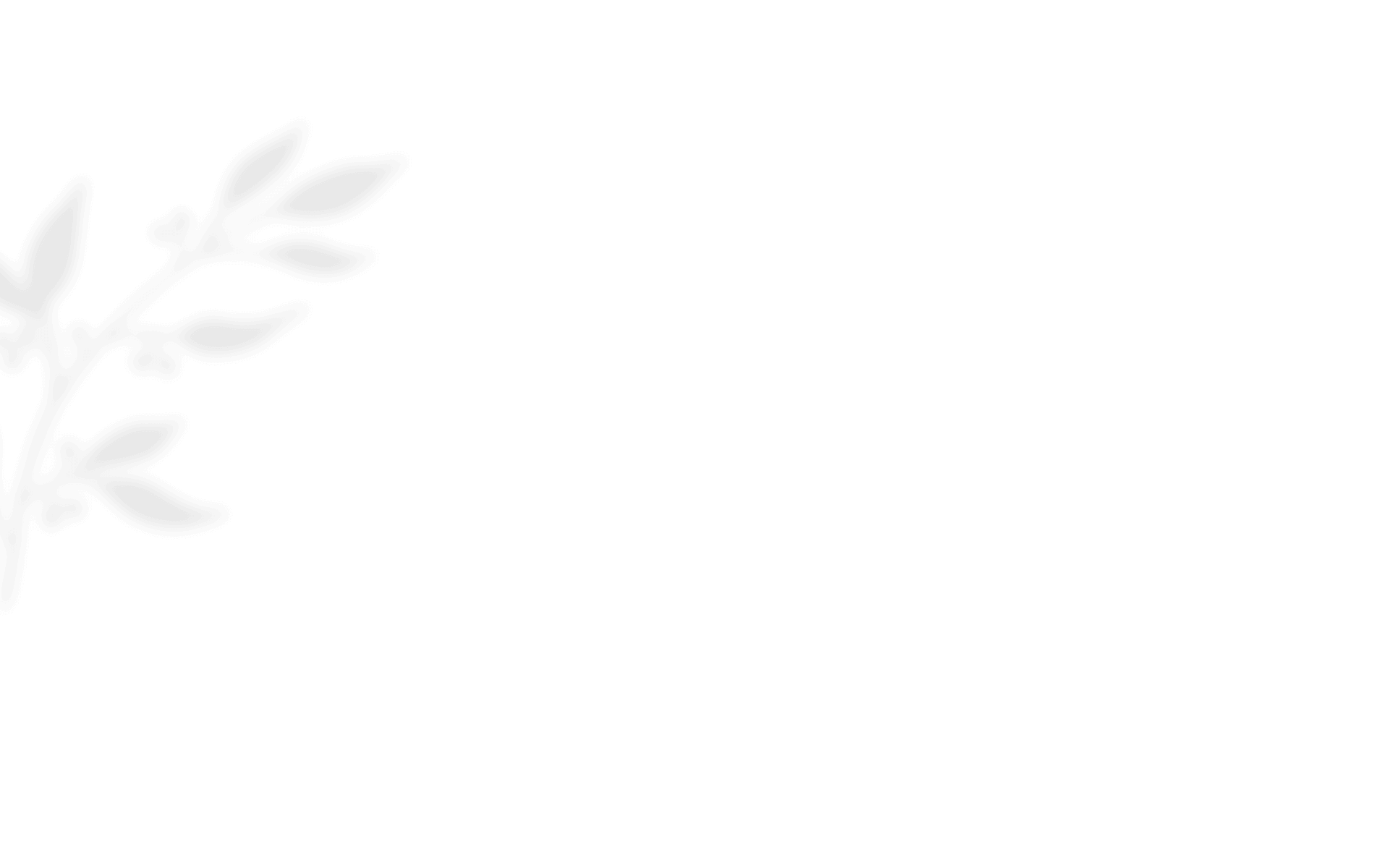 https://mojofilms.ca/wp-content/uploads/2020/12/shadow_leaves_01.png
