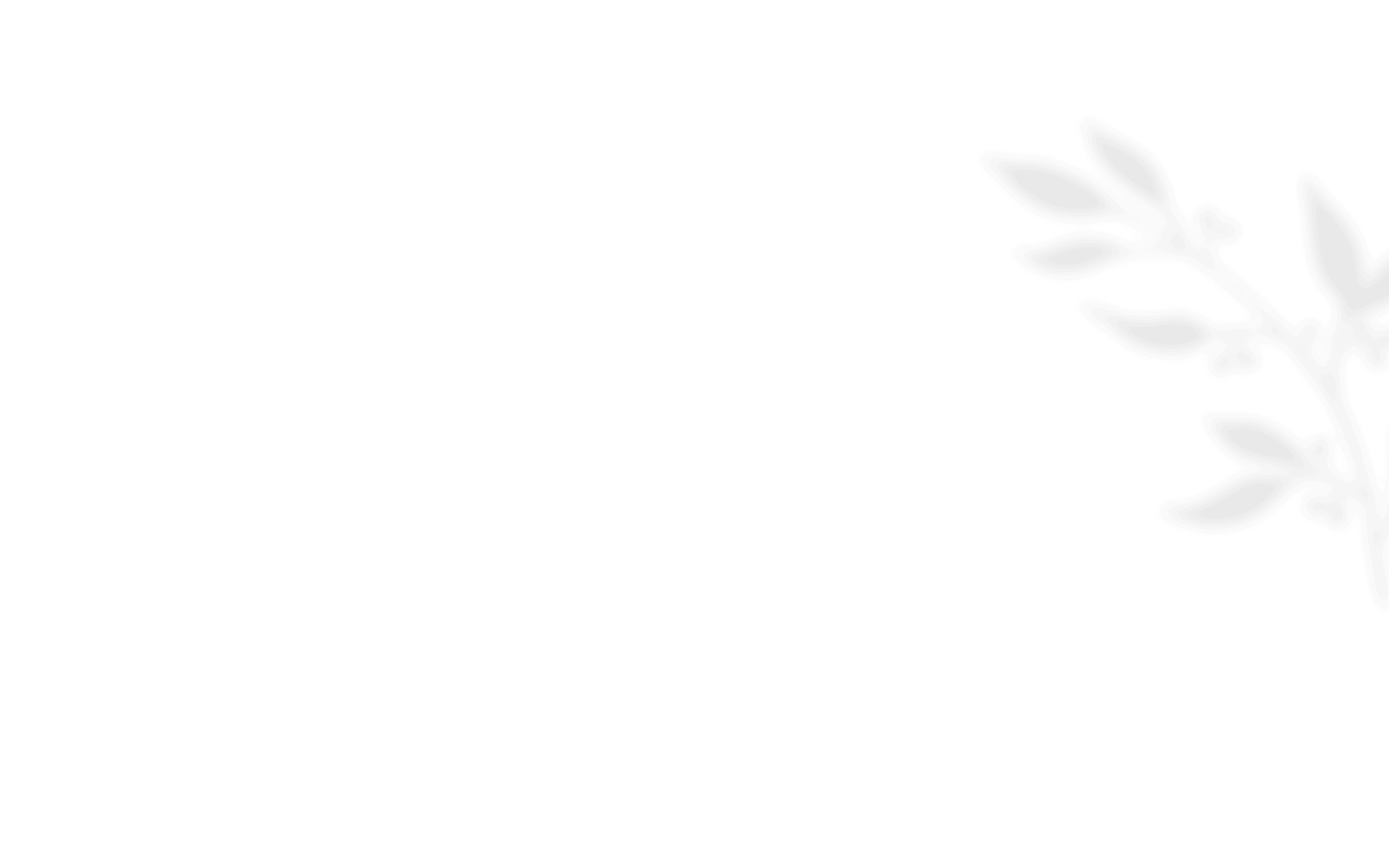 https://mojofilms.ca/wp-content/uploads/2021/01/shadow_leaves_08.png